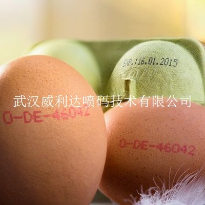 广东鸡蛋生产日期打标机 喷码机